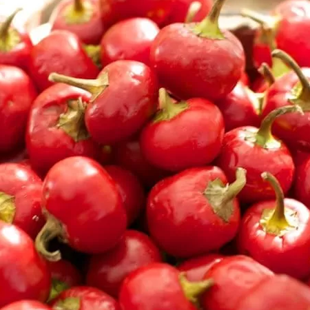 Peperoncino Ciliegia Piccante - immagine 2