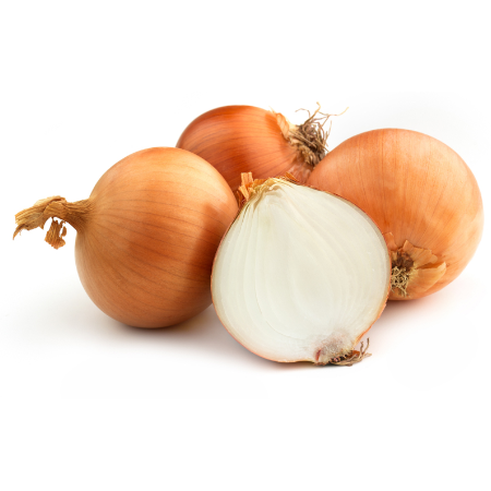 Cipolla dorata elenka - immagine 3