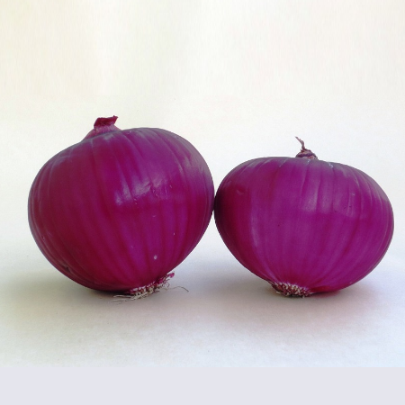 Cipolla Rossa Fiamma - immagine 3