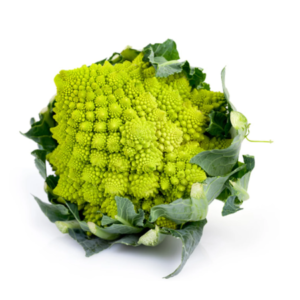 Cavolfiore Romanesco Gitano 100/110 gg