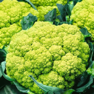 Cavolfiore Verde Trevi 80/90 gg