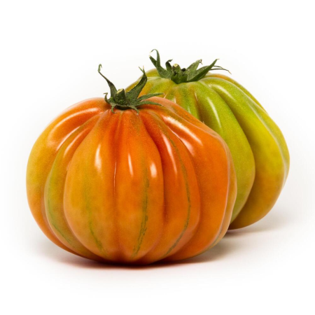 Pomodoro Insalataro Pera d'Abruzzo Giacomo - immagine 3