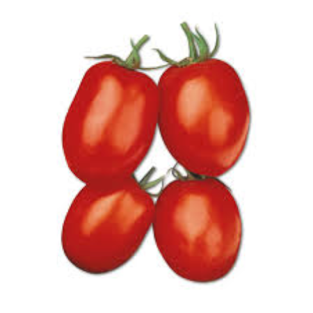 Pomodoro Nano Ovale Rio Oro da Passata - immagine 3
